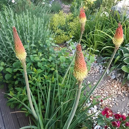 Johanna * Sankt Georgen im Gailtal